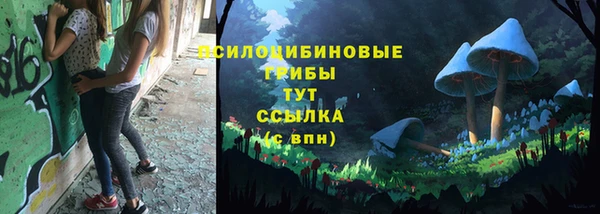 прущая мука Богородицк