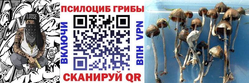 Псилоцибиновые грибы прущие грибы купить наркотик нарко площадка телеграм Вуктыл